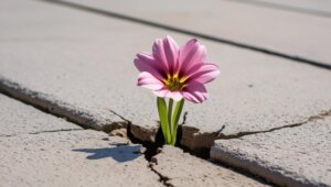 the benefit of gratefulness